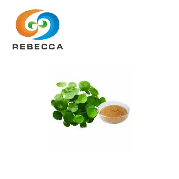 Gotu Kola Leaf Extract